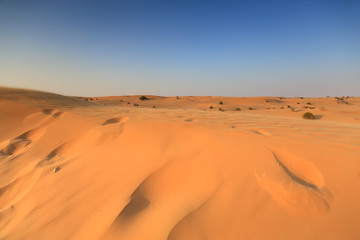 Desert in Dubai