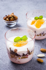 Citrus yogurt honey granola dessert on concrete background. Selective focus, cpace for text. 
