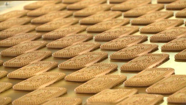 Cookies on conveyor at food plant. Food industry. Pastry bakery on manufacturing line at food factory. Cookies conveyor