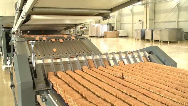 Cookies on conveyor at food plant. Food industry. Pastry bakery on manufacturing line at food factory. Cookies conveyor