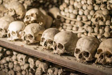 Agglomeration of skulls and bones
