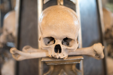 Agglomeration of skulls and bones