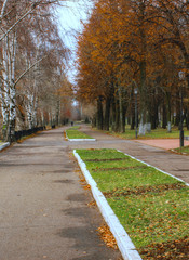 Alley on an overcast autumn day