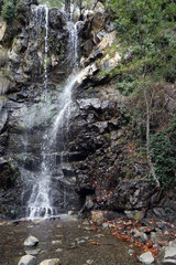 Kaledonia waterfall in the forest - obrazy, fototapety, plakaty