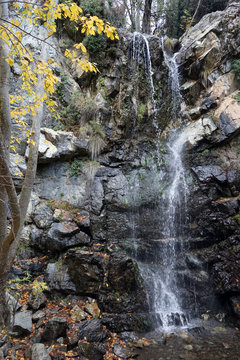 Kaledonia waterfall in the forest