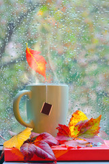 Autumn rainy window with hot tea