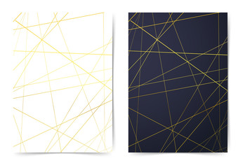 Golden abstract thin line pattern folder collection