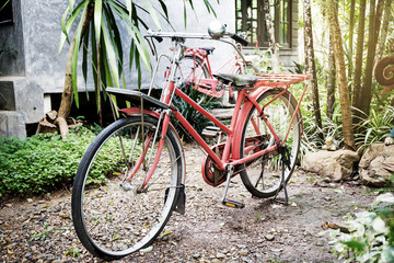 Fototapeta na wymiar Old Red Vehicles, Decorated in the Garden