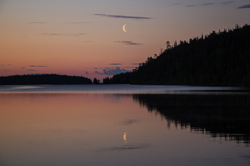 Half moon in the night sky. Dark forest