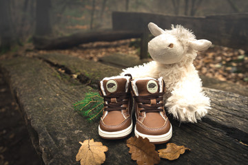 Kleines Schaf mit Baby Schuh im Herbst