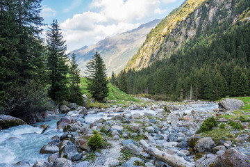 Mountain river and trees landscape natural environment. Hiking in the alps. Grawa Waterfall in Stubai Valley, Tyrol, Austria