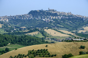 Summer landscape near Monterubbiano (Fermo, Marches)