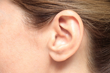 Ear