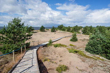 Boardwalk, sandstorm, sand, juniper, lichens natural environment on Mohni, small island in Estonia, Europe.