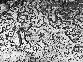 Fototapeta premium Scratch grunge rusty background for create object grunge effect . Hand drawing texture. Vector