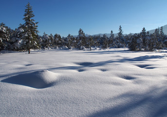 Fototapeta premium Winterlandschaft im Ammergau