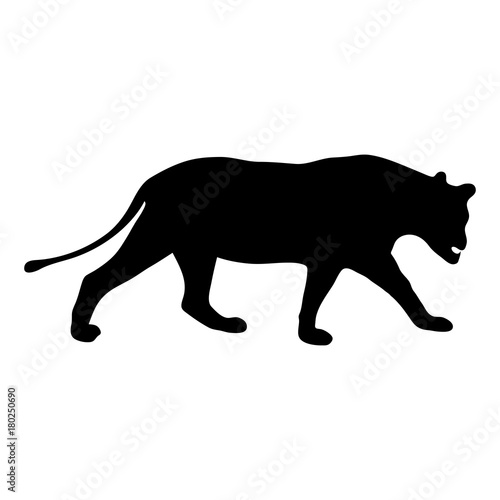 "black silhouette of running lioness on white background of vector ...