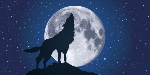 Fototapeta premium wilk - księżyc - światło księżyca - wycie - noc - symbol - strach - dziki - niebezpieczny