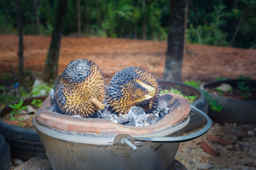 barbecue durian on stove.