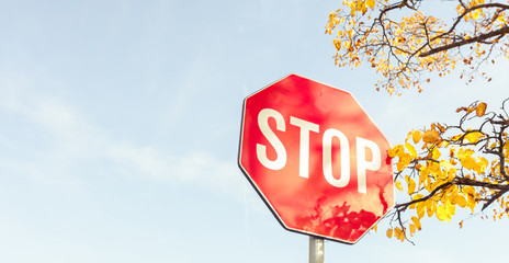 Stop road sign on autumn day