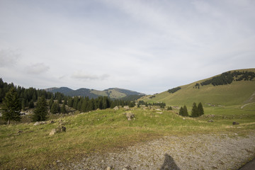 Beautiful view of valley mountain Saentis, Switzerland