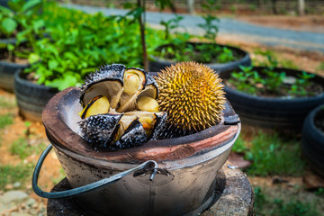 barbecue durian on stove.