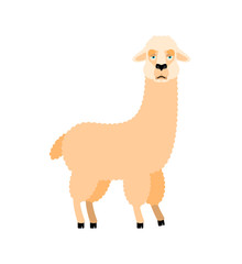 Lama Alpaca sad. Animal sorrowful emoji. Vector illustration