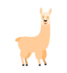 Lama Alpaca winking. Animal happy emoji. Vector illustration