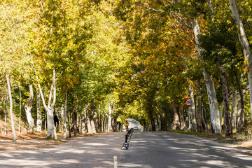 Autumn landscape in madrid country house