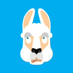 Lama Alpaca was confused emotions face avatar. Animal is perplexed. Beast surprise. Vector illustration