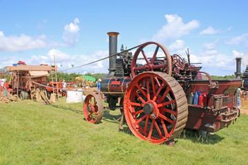 Steam Traction engine driving a thresher