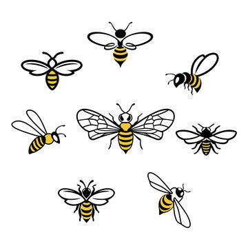 Honey bee Icons. Set of honey and bee labels for honey logo products. Isolated insect icon. Flying bee. Flat style vector illustration.