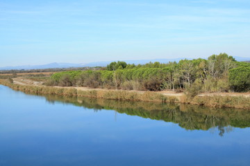 Canal du Rhone à Sète, Camargue, France