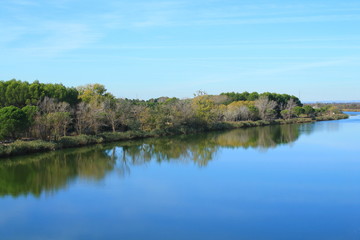 Paysage sauvage de Camargue, France