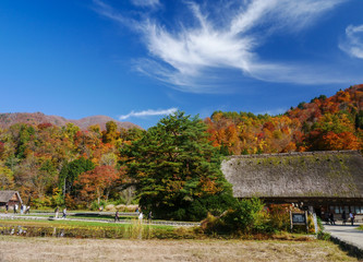 秋の白川郷　茅葺き屋根