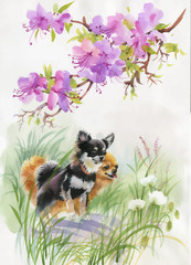 Hand drawn dogs on the nature, watercolor illustration. - 180256624