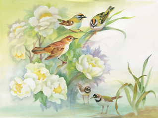 Fototapety  Akwarela ręcznie rysowane kolorowe piękne kwiaty i ptaki.