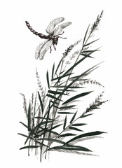 Hand drawn monochrome flowers and dragonfly isolated on white background.