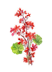 Hand drawn branch of red flowers isolated on white background
