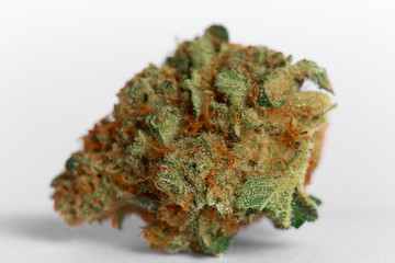 Close up of prescription medical marijuana Strawberry Cough flower sativa strain on white background