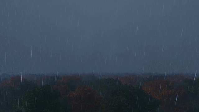 Rain and lightning in the forest