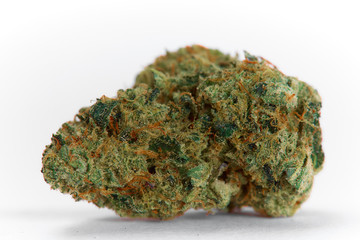 Close up of prescription medical marijuana flower sativa strain on white background