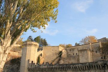 Remparts d'Avignon, Vaucluse, France