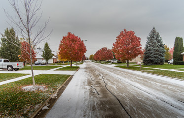 Naklejka premium First snow of winter