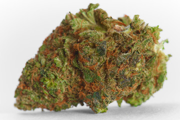 Close up of prescription medical marijuana flower Strawberry Cough sativa strain on white background