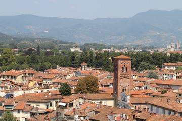 Fototapeta na wymiar View of Lucca from the Tower of Torre Guinigi