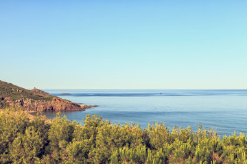 Seascape in the early morning.