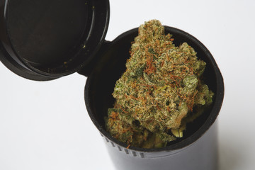 Close up of prescription medical marijuana flower sativa strain on white background