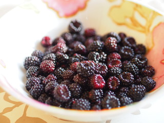 Black raspberries, blackberries in the dish