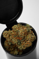 Close up of prescription medical marijuana flower sativa strain on white background
